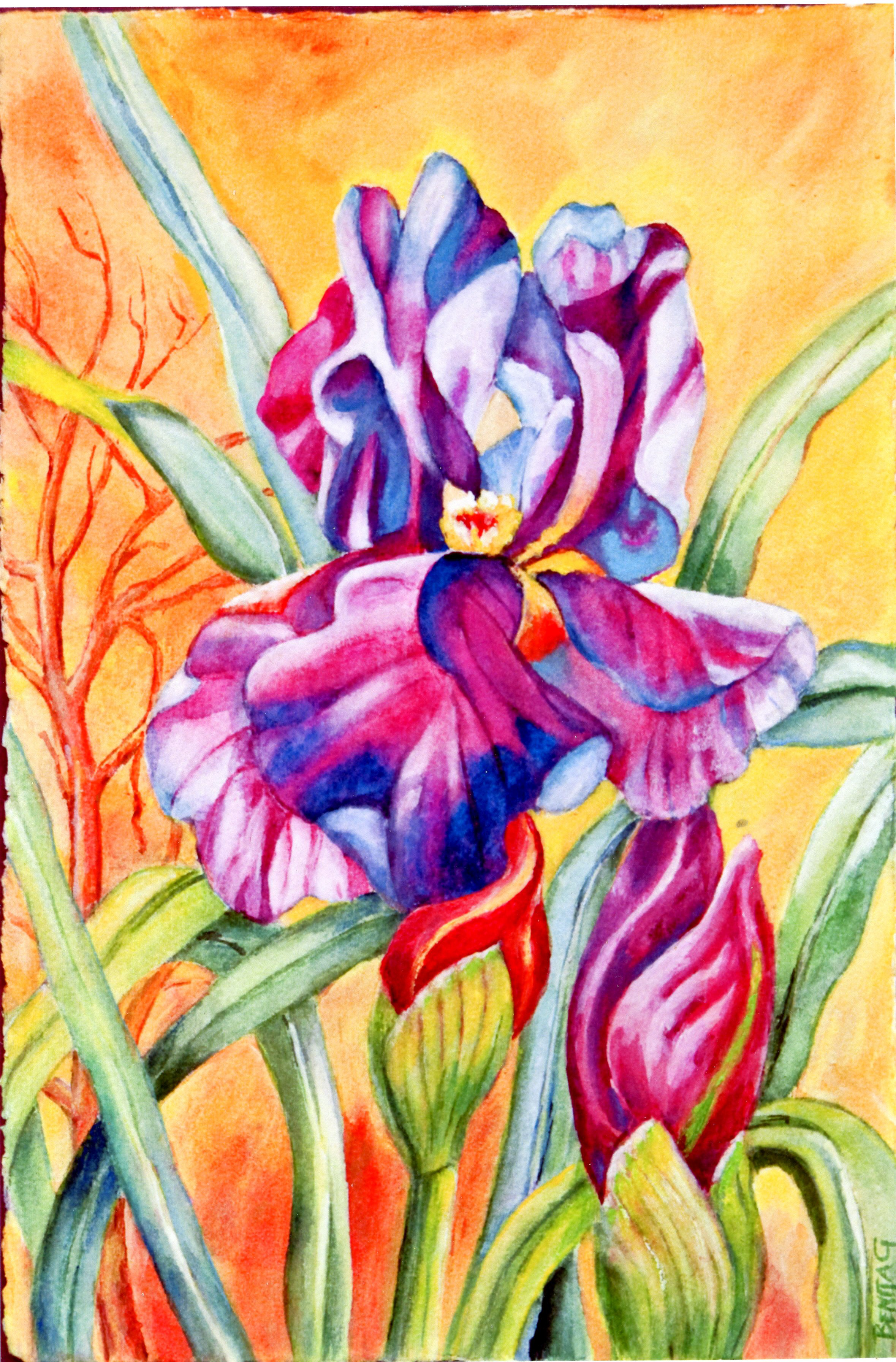 Purple Iris, Benita Rauda Gowen, watercolor