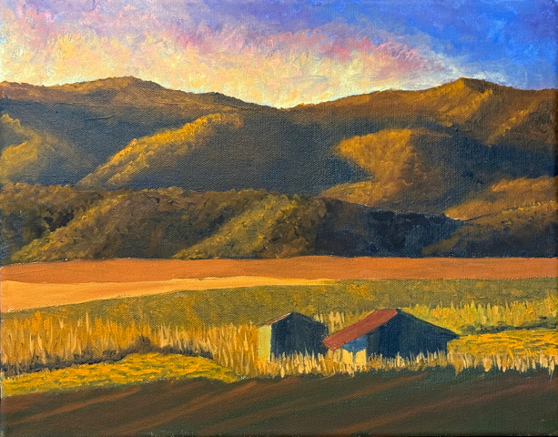 Along Emmitt Road