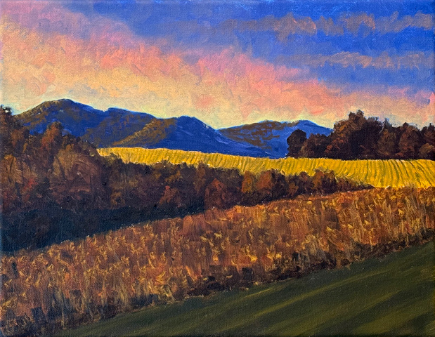 Salleys' Field