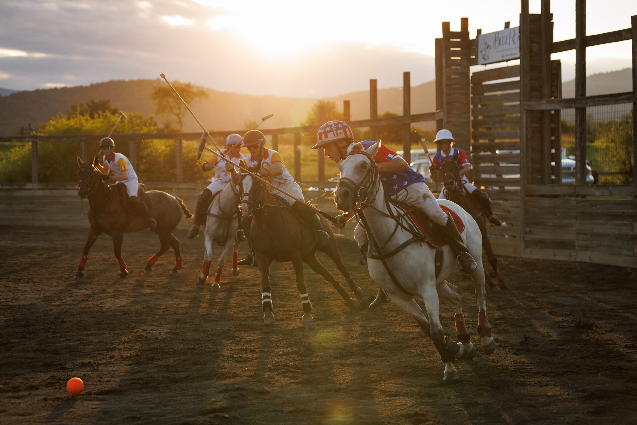 Polo at the Blue Rock Inn, Washington, VA, ii