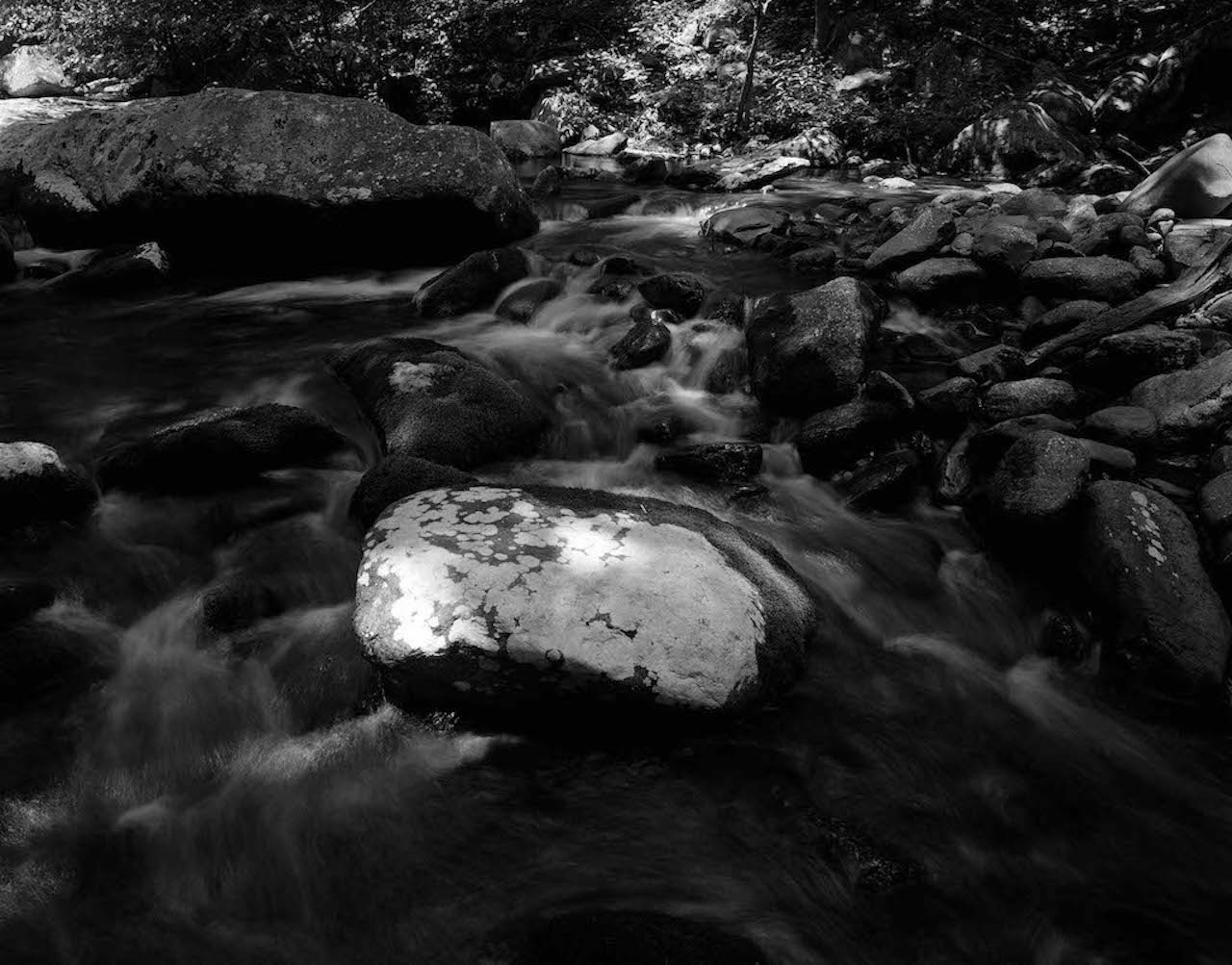 Row 3_1 Rapidan-River-Charles-Tompkins-1979-0631