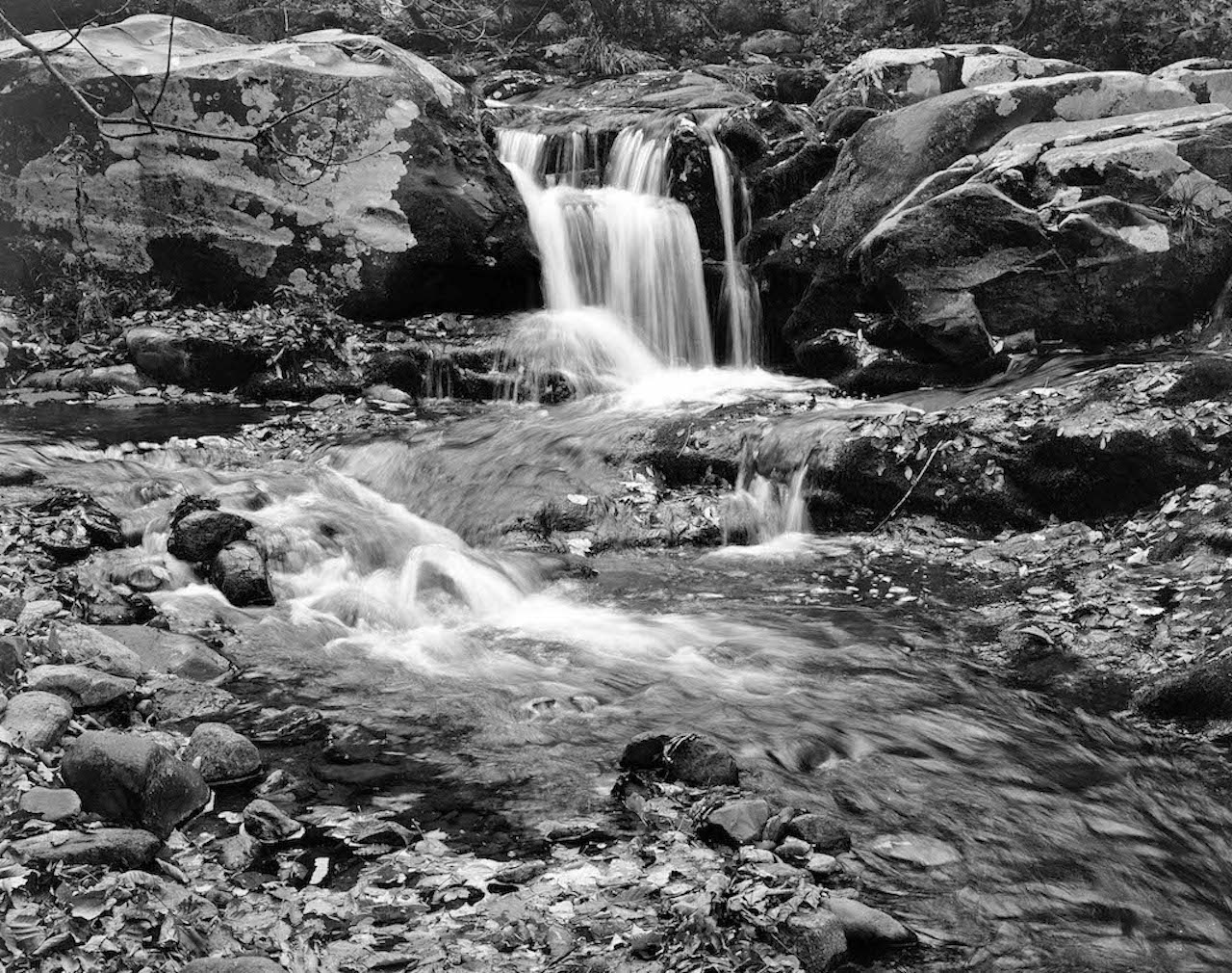 Row 3_3 VA-Rapidan-River-photography-Charles-Tompkins-c1982-1398