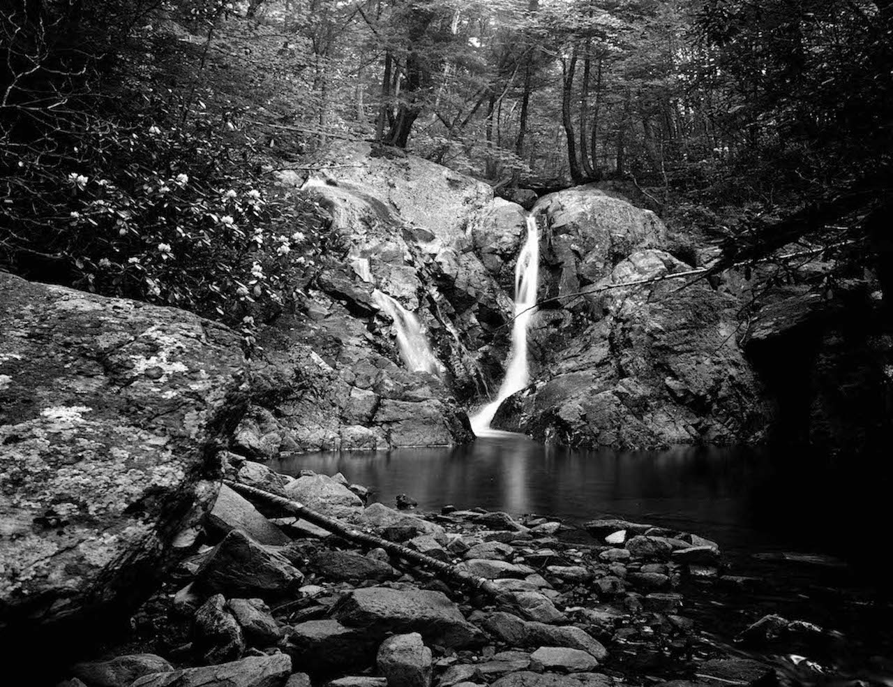 Row 4_3VA-near-Troutdale-photography-Charles-Tompkins-1981-1388-9 copy